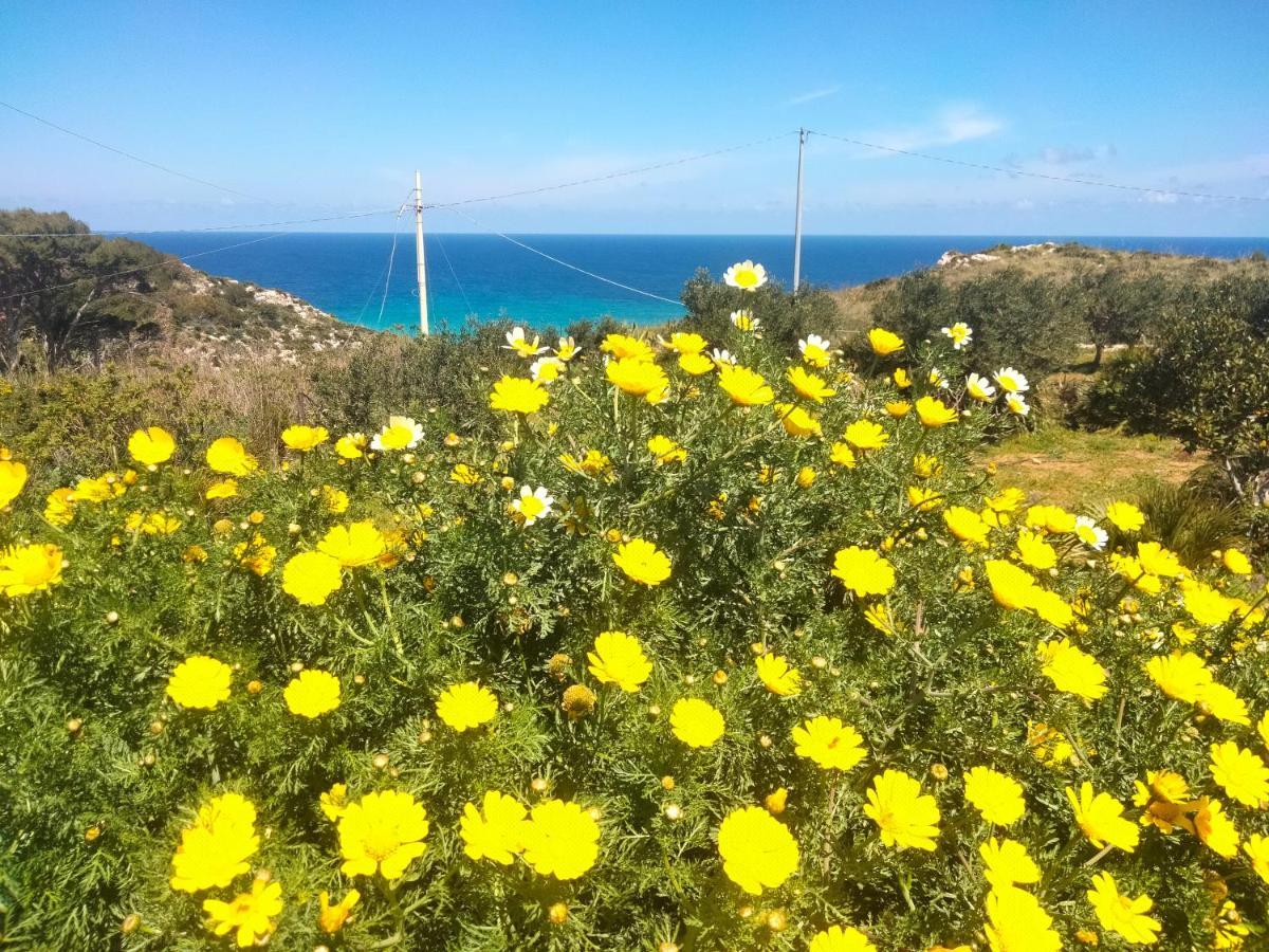 Cala Rossa Hotel กัสเตลลัมมาเร เดล โกลโฟ ภายนอก รูปภาพ